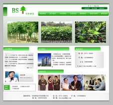 “綠水青山”林業(yè)開發(fā)網(wǎng)站頁(yè)面設(shè)計(jì)與開發(fā)實(shí)戰(zhàn)指南